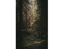 Featured testing